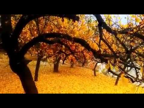 Autumn Season in Gilgit Baltistan.