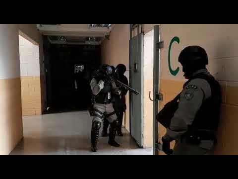 Susepe desencadeia Operação Pente Fino 9 em Venâncio Aires - parte 2