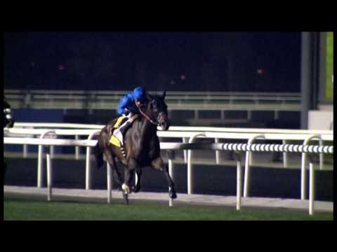 30.03.2013 Meydan (Dubai-UAE) 7.Race Dubai Duty Free 2013 - Group I 1.800 m