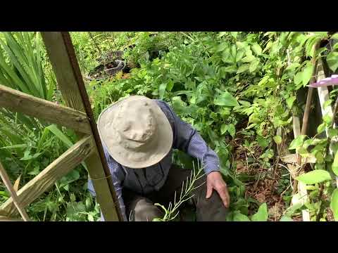 John Anton-Smith. Vid.2 Prestbury, Cheltenham Glos.