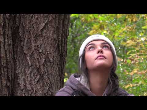 Wojciech Bellon "Pejzaże Harasymowiczowskie"