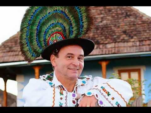 Alexandru Pugna   cetera cu struna deasa