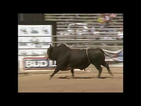 PBR 1994: Casey Gates Knocks the Gate Open