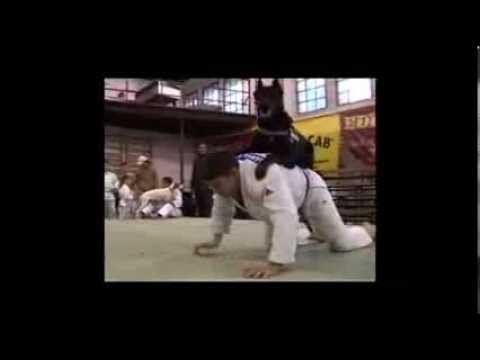 Hadfi Dániel - Pest Megyei Kutató-Mentő Szolgálat 1%-os kampányfilm