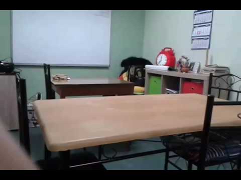 Светкавиците