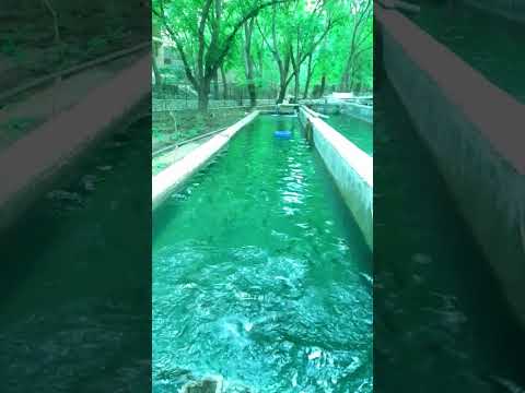 Die Fische haben Hunger🐋🐟😄