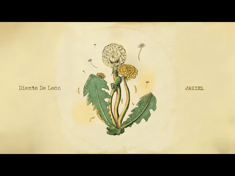 DIENTE DE LEÓN - JAZIEL Feat. ALAN ALMAZÁN (Video lyrics)