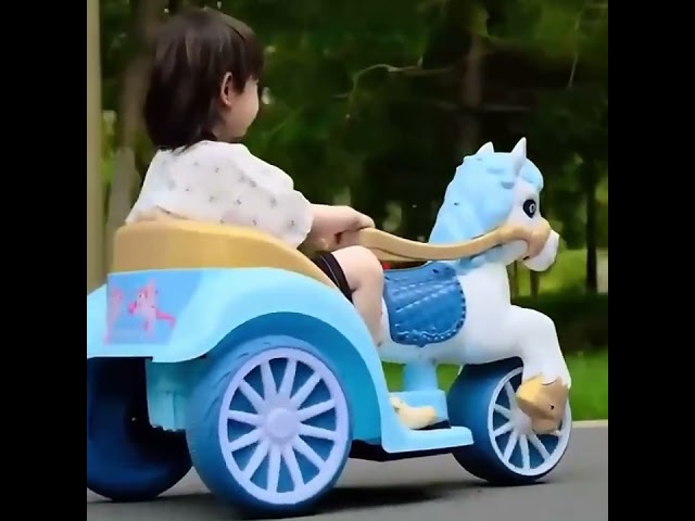 حصان الاميرات الكهربائي  >>  ( S )  %