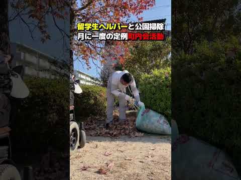 庭の枯れ葉をどう活用するか？それらを分解するためのヒントとテクニック  庭園