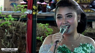Download lagu WARU DOYONG (Ina Alah-alah) // ANANTA MUSIC // MAHESA Audio mp3