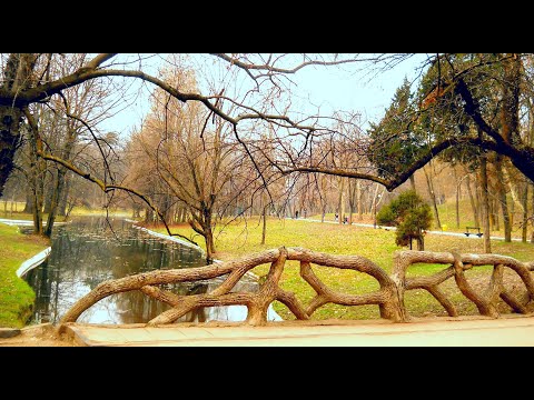 Romania. Scornicesti. Slatina.Craiova. Februarie 2013