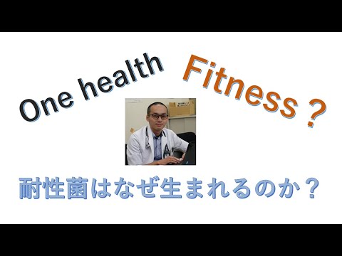 看護学科 自然界で耐性菌はどうやって出現するのか？フィットネスとは？