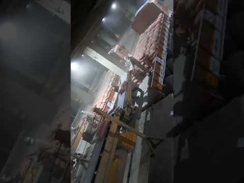 50 Kg OPC 53 Grade Priya Cement