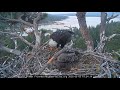 Late evening meal delivery by Shadow, Jackie feeds then heads to sleep early | 5.5.26