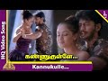 Kannukkulle Kadhala Video Song Thamizh Tamil Movie Songs Prashanth Simran Bharathwaj Hits