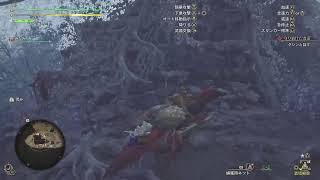 モンハンワイルズ#11