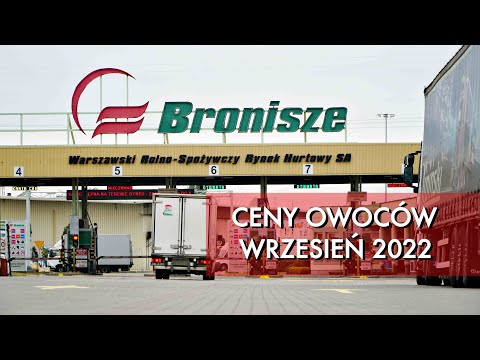 Ceny owoców na rynku hurtowym Bronisze / Wrzesień 2022 r.