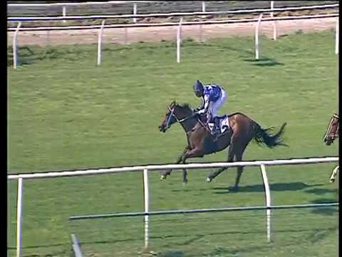 Galoppo 18/05/2017 - 2ª corsa