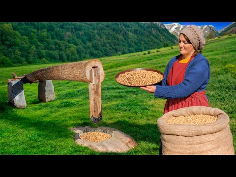 Fromage De Tofu Fait Maison En Cuisine Calme