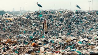 Download lagu Arch Enemy - Sunset Over The Empire mp3