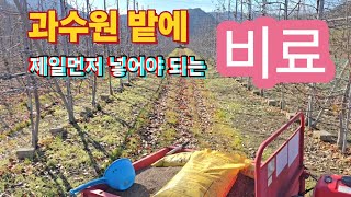 과수원 밭에 제일먼저 넣어야 되는 비료를 아시나요?