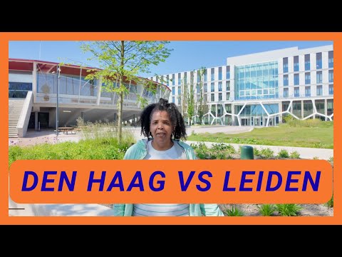 Comparing 2 Dream Cities in the Netherlands 🇳🇱
