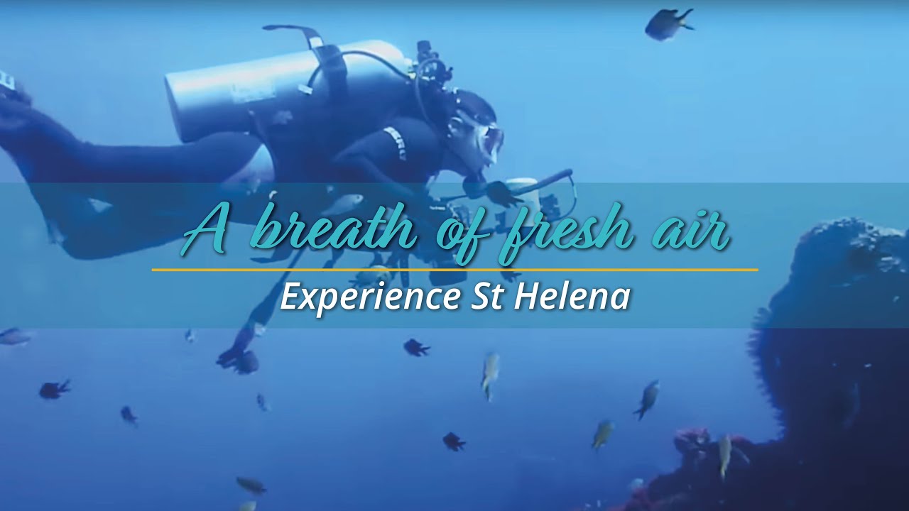 Experience St Helena thumnail