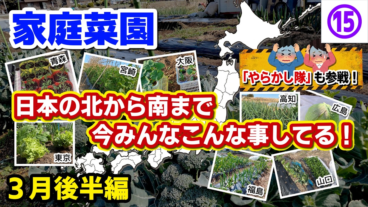 【みなさんの写真】3月後半の全国の家庭菜園情報！日本の北から南までの今がわかって面白い！みんなこんなことしてる！／vol.15