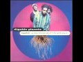 Digable Planets - Swoon Units