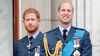 Prince Harry and Prince William Are Back ‘in Touch’