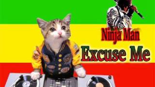 Ninja Man - Excuse Me