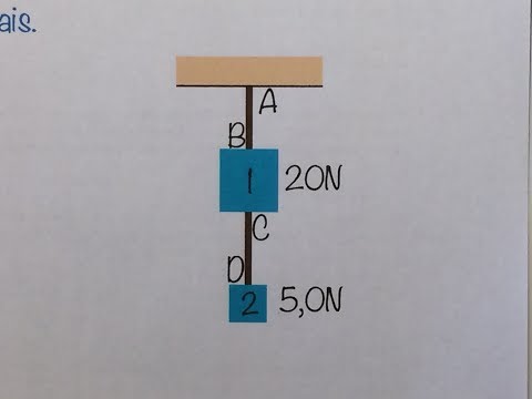 FBNET | Dn7 - As trações nesse sistema de blocos suspensos em equilíbrio