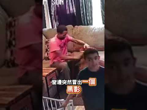 護主嚇退入侵者的小狗