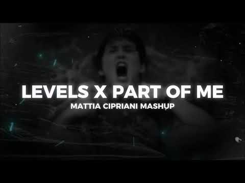 Mattia Cipriani - Levels X Part Of Me