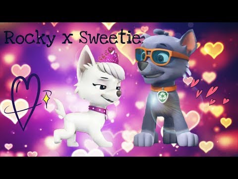 🐾Рокки и Свитти🐾~для Альфии Гардановой/•Rocky x Sweetie•~ for Альфия Гарданова channel