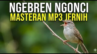 Download lagu Suara Ciblek Kristal Ngebren Ngonci Rapat - Masteran MP3 Audio Jernih [Tanpa Noise] mp3