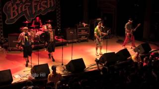 REEL BIG FISH - S.R. - live @ The Ogden Theatre