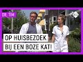 MET DR. JOYCE OP HUISBEZOEK | Dr. Tim Beestieboys | NPO Zapp