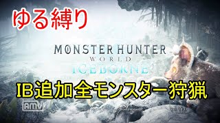 ［ゆる縛り］回復アイテム禁止IB追加全モンスター狩猟vol9_END