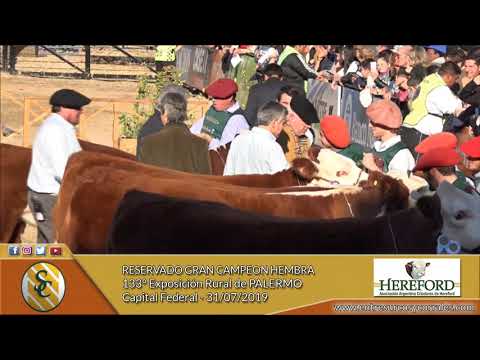 31-07-19 - Reservado Gran Campeón Hembra P. Hereford - 133° Expo  Rural de Palermo - Cap. Federal