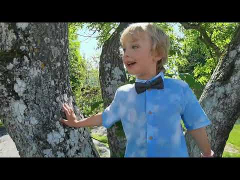 TOR H @ Kuggebodaskolan 2022-06-14