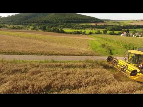 2016 08 15 Erntezeit2