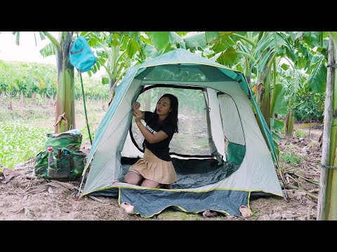 Solo Camping in the Banana Garden - Enjoy Delicious grilled chicken - Susu Vlog ▶14:50