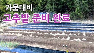가뭄대비 고추심을 준비 마쳤습니다