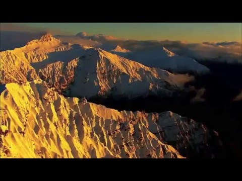 Psalm 45 - Ein Lied über den geliebten König