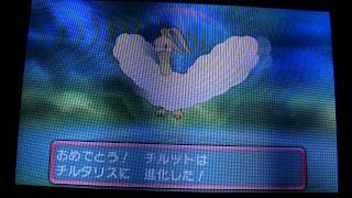 チルット ポケットモンスター ハスボー ジャラコ マリル チルット ポケットモンスター ハスボー ジャラコ マリル
