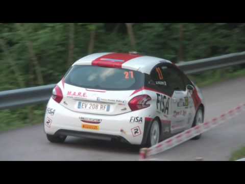 Rally Valli della Carnia 2016 De Barba-Piceno