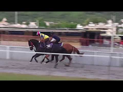 Majestic Moon & Delusional