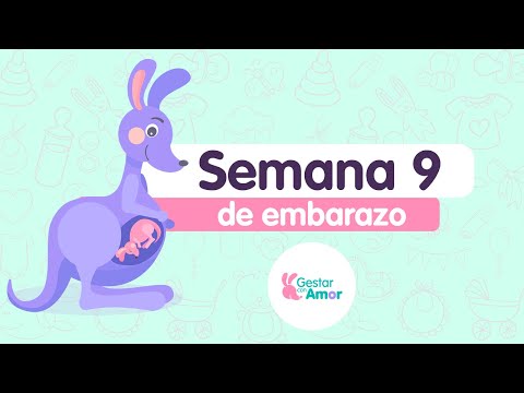 Semana 9 de embarazo: ¡Tu pancita empieza a crecer!