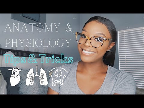 HOW TO GET AN A IN ANATOMY & PHYSIOLOGY ♡ | TIPS & TRICKS | PASS A&P WITH STRAIGHT A'S!